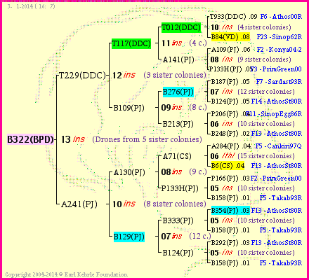 Pedigree of B322(BPD) :
four generations presented