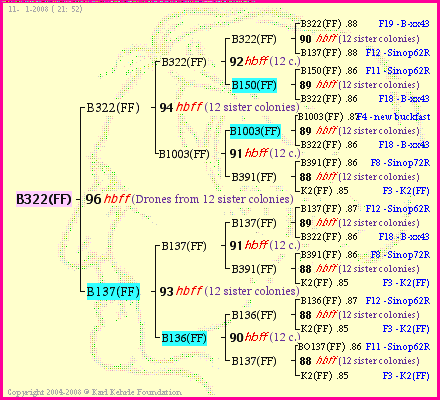 Pedigree of B322(FF) :
four generations presented
it's temporarily unavailable, sorry!