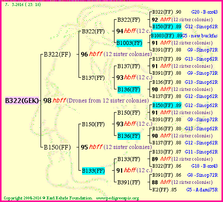 Pedigree of B322(GEK) :
four generations presented