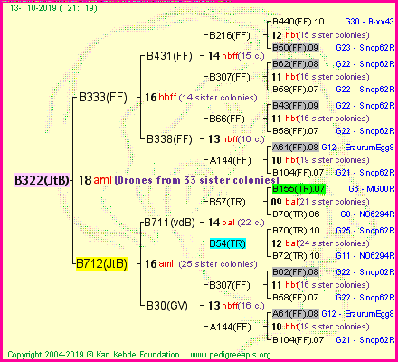 Pedigree of B322(JtB) :
four generations presented<br />it's temporarily unavailable, sorry!