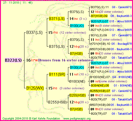 Pedigree of B322(LS) :
four generations presented<br />it's temporarily unavailable, sorry!