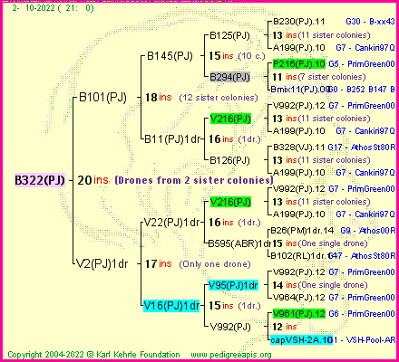 Pedigree of B322(PJ) :
four generations presented
it's temporarily unavailable, sorry!