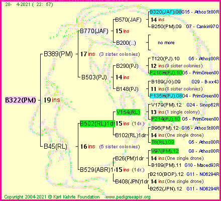 Pedigree of B322(PM) :
four generations presented
it's temporarily unavailable, sorry!