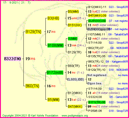 Pedigree of B322(TN) :
four generations presented
it's temporarily unavailable, sorry!