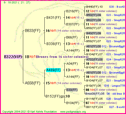 Pedigree of B322(VIP) :
four generations presented
it's temporarily unavailable, sorry!