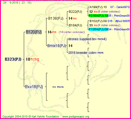 Pedigree of B323(PJ) :
four generations presented<br />it's temporarily unavailable, sorry!