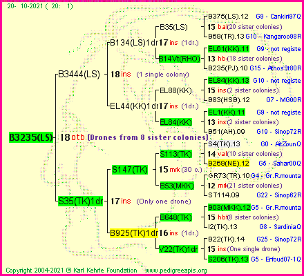 Pedigree of B3235(LS) :
four generations presented
it's temporarily unavailable, sorry!