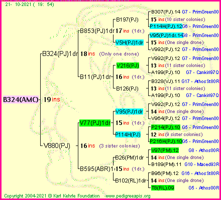 Pedigree of B324(AMC) :
four generations presented
it's temporarily unavailable, sorry!