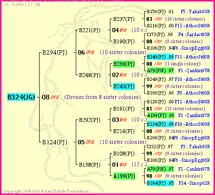 Pedigree of B324(JG) :
four generations presented