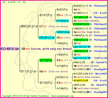 Pedigree of B324(PJ)1dr :
four generations presented
it's temporarily unavailable, sorry!