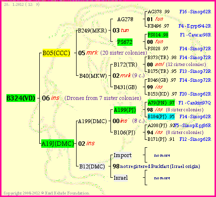 Pedigree of B324(VD) :
four generations presented