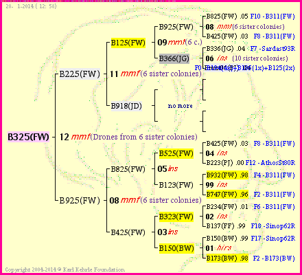 Pedigree of B325(FW) :
four generations presented