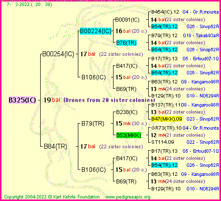 Pedigree of B325(IC) :
four generations presented
it's temporarily unavailable, sorry!