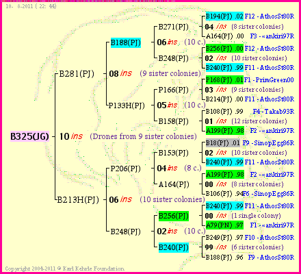 Pedigree of B325(JG) :
four generations presented