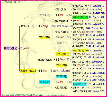 Pedigree of B325(LS) :
four generations presented
it's temporarily unavailable, sorry!