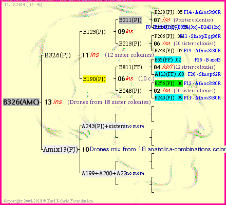 Pedigree of B326(AMC) :
four generations presented