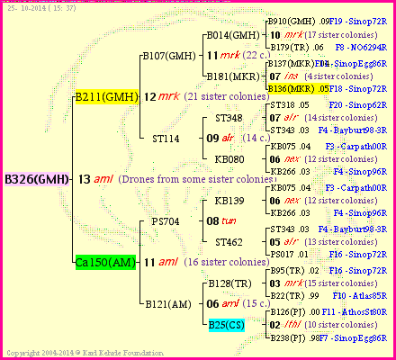 Pedigree of B326(GMH) :
four generations presented