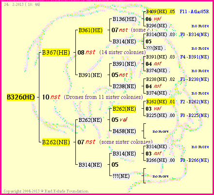 Pedigree of B326(HE) :
four generations presented