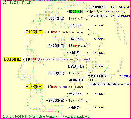 Pedigree of B326(HE) :
four generations presented
it's temporarily unavailable, sorry!