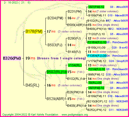 Pedigree of B326(PM) :
four generations presented
it's temporarily unavailable, sorry!