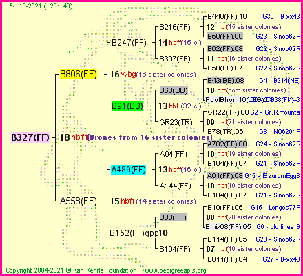 Pedigree of B327(FF) :
four generations presented
it's temporarily unavailable, sorry!