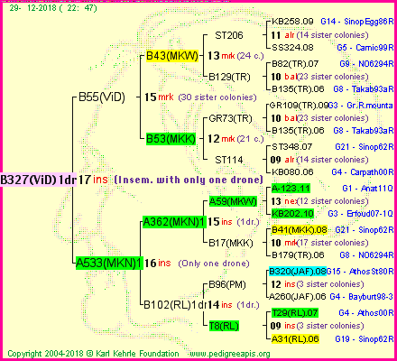 Pedigree of B327(ViD)1dr :
four generations presented<br />it's temporarily unavailable, sorry!