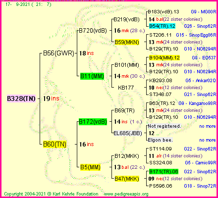 Pedigree of B328(TN) :
four generations presented
it's temporarily unavailable, sorry!