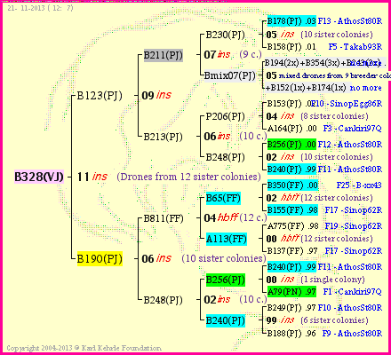 Pedigree of B328(VJ) :
four generations presented