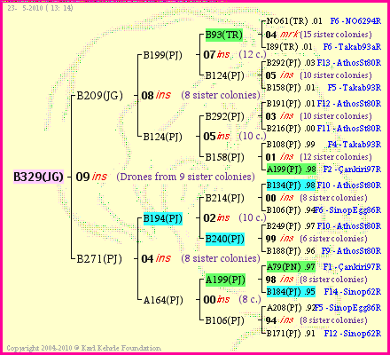 Pedigree of B329(JG) :
four generations presented