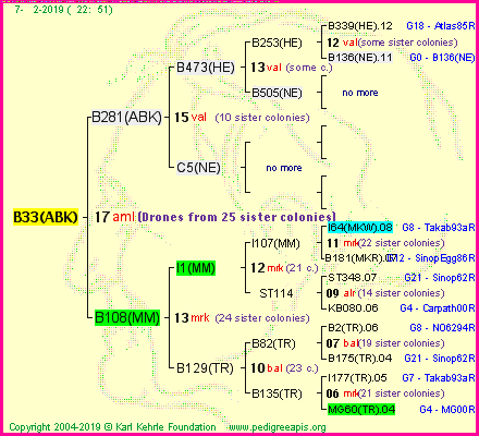 Pedigree of B33(ABK) :
four generations presented
it's temporarily unavailable, sorry!