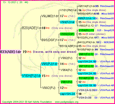 Pedigree of B33(ADE)1dr :
four generations presented
it's temporarily unavailable, sorry!