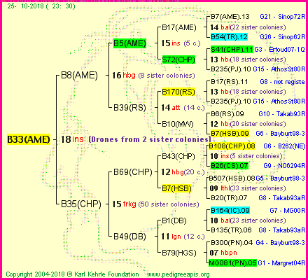 Pedigree of B33(AME) :
four generations presented
it's temporarily unavailable, sorry!