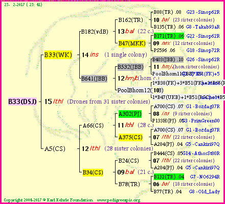 Pedigree of B33(DSJ) :
four generations presented<br />it's temporarily unavailable, sorry!