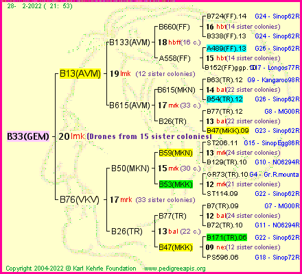 Pedigree of B33(GEM) :
four generations presented
it's temporarily unavailable, sorry!