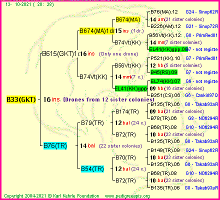 Pedigree of B33(GKT) :
four generations presented
it's temporarily unavailable, sorry!