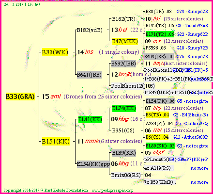 Pedigree of B33(GRA) :
four generations presented<br />it's temporarily unavailable, sorry!