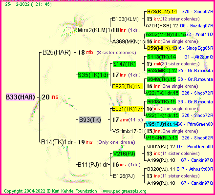 Pedigree of B33(HAR) :
four generations presented
it's temporarily unavailable, sorry!