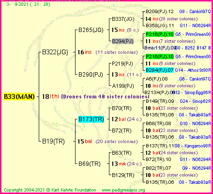 Pedigree of B33(MAN) :
four generations presented
it's temporarily unavailable, sorry!