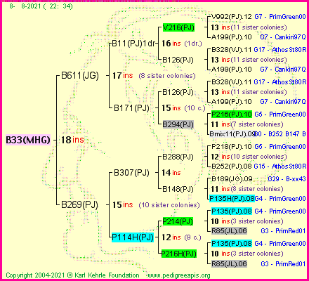 Pedigree of B33(MHG) :
four generations presented
it's temporarily unavailable, sorry!