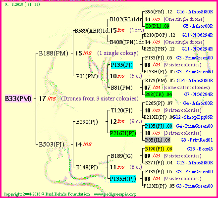 Pedigree of B33(PM) :
four generations presented
it's temporarily unavailable, sorry!