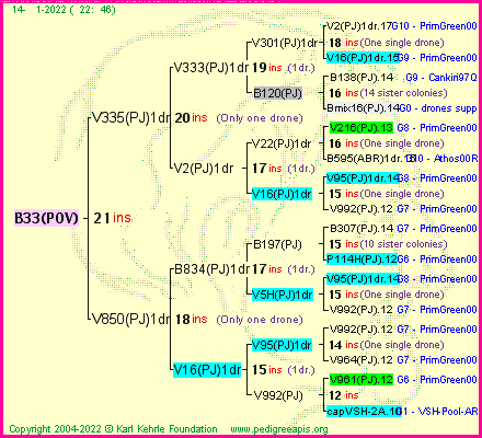 Pedigree of B33(POV) :
four generations presented
it's temporarily unavailable, sorry!