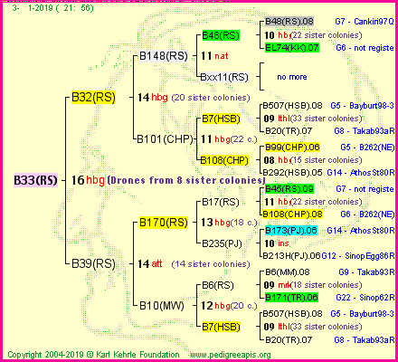 Pedigree of B33(RS) :
four generations presented<br />it's temporarily unavailable, sorry!