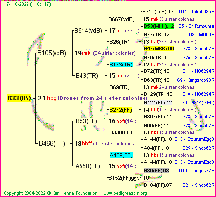 Pedigree of B33(RS) :
four generations presented
it's temporarily unavailable, sorry!