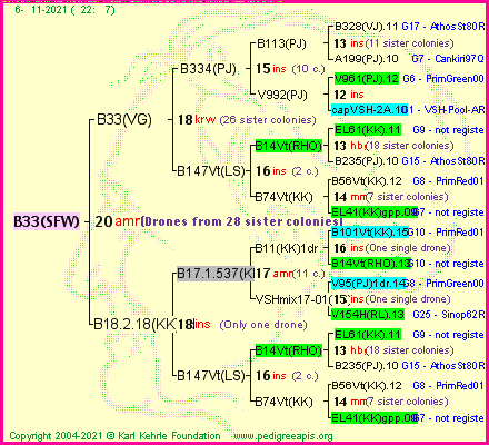 Pedigree of B33(SFW) :
four generations presented
it's temporarily unavailable, sorry!