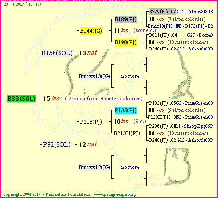 Pedigree of B33(SOL) :
four generations presented<br />it's temporarily unavailable, sorry!