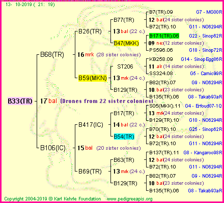 Pedigree of B33(TR) :
four generations presented
it's temporarily unavailable, sorry!