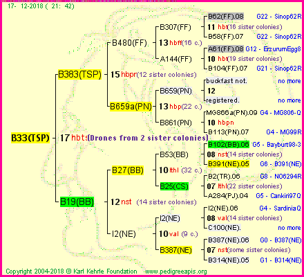 Pedigree of B33(TSP) :
four generations presented<br />it's temporarily unavailable, sorry!