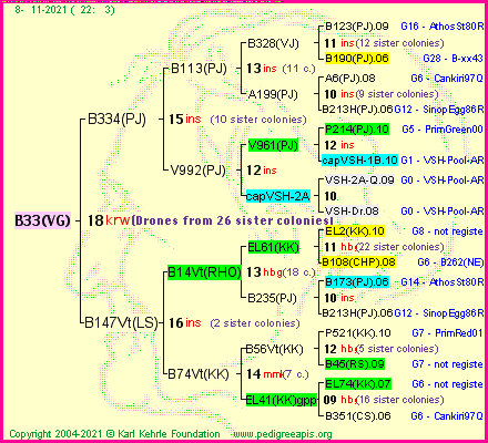 Pedigree of B33(VG) :
four generations presented
it's temporarily unavailable, sorry!