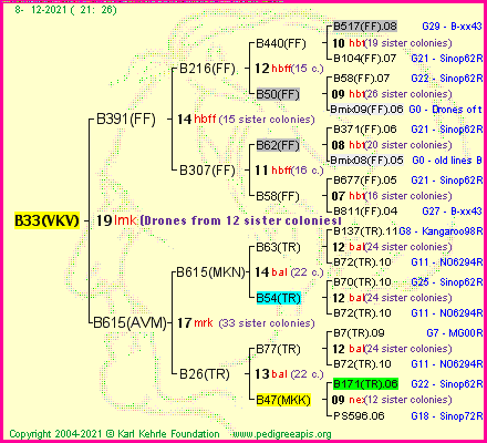 Pedigree of B33(VKV) :
four generations presented
it's temporarily unavailable, sorry!