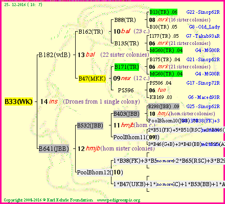 Pedigree of B33(WK) :
four generations presented